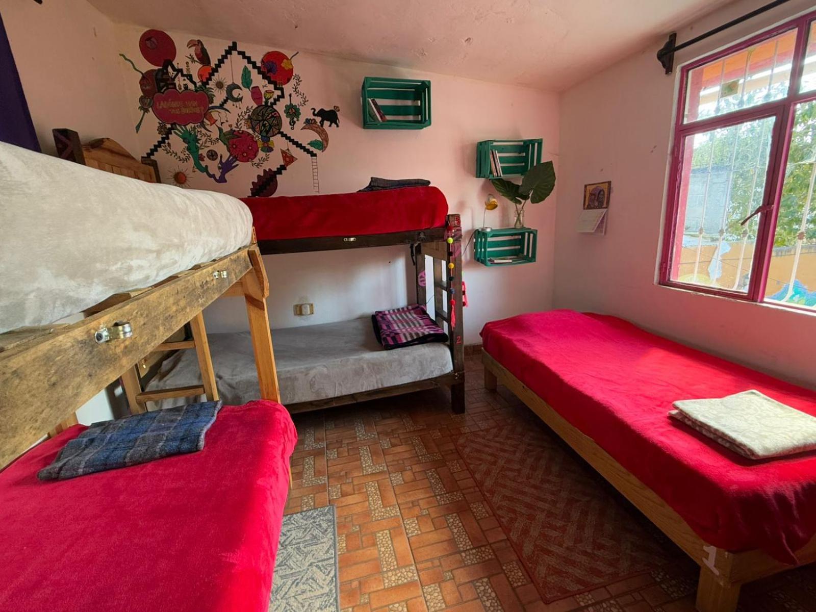 Historika Hostel Cultural Сан-Кристобаль-де-Ла-Касас Экстерьер фото